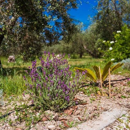 Agriturismo Biologico Piccapane Bed and Breakfast Cutrofiano Εξωτερικό φωτογραφία