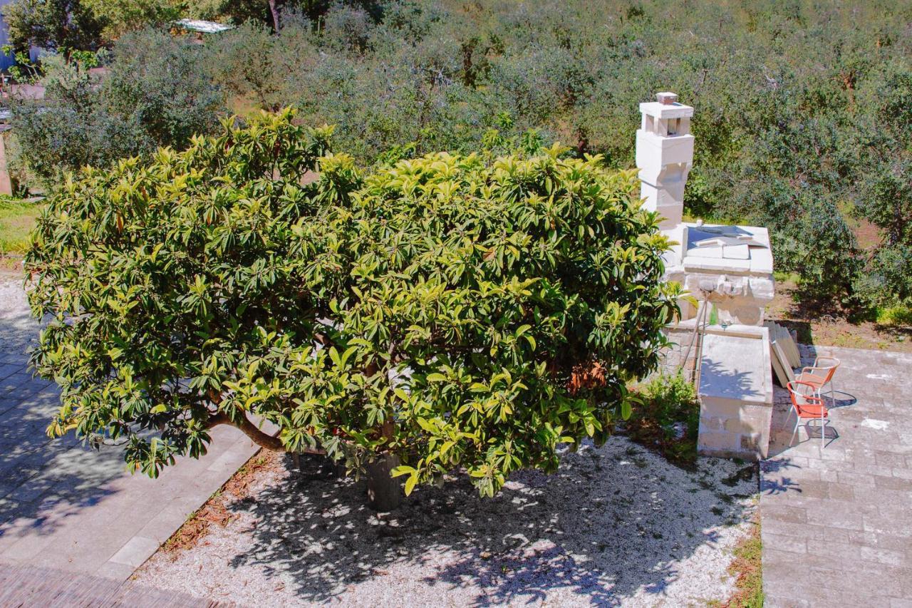 Agriturismo Biologico Piccapane Bed and Breakfast Cutrofiano Εξωτερικό φωτογραφία