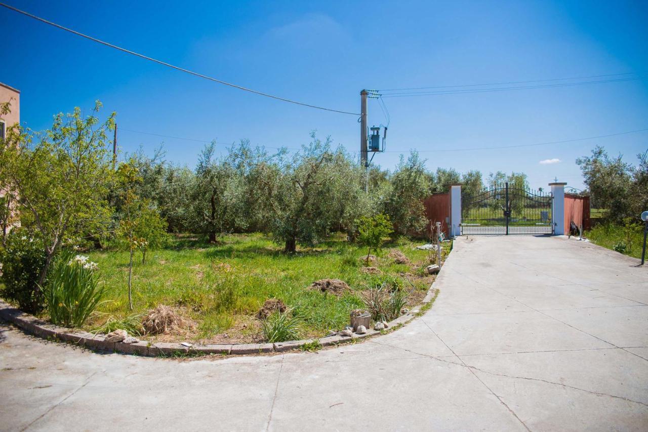 Agriturismo Biologico Piccapane Bed and Breakfast Cutrofiano Εξωτερικό φωτογραφία