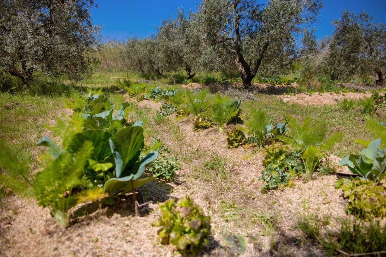 Agriturismo Biologico Piccapane Bed and Breakfast Cutrofiano Εξωτερικό φωτογραφία