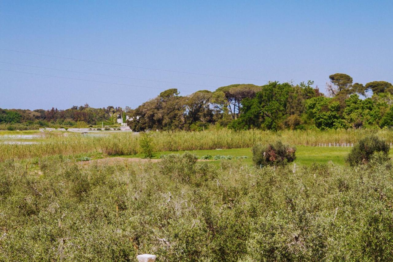 Agriturismo Biologico Piccapane Bed and Breakfast Cutrofiano Εξωτερικό φωτογραφία
