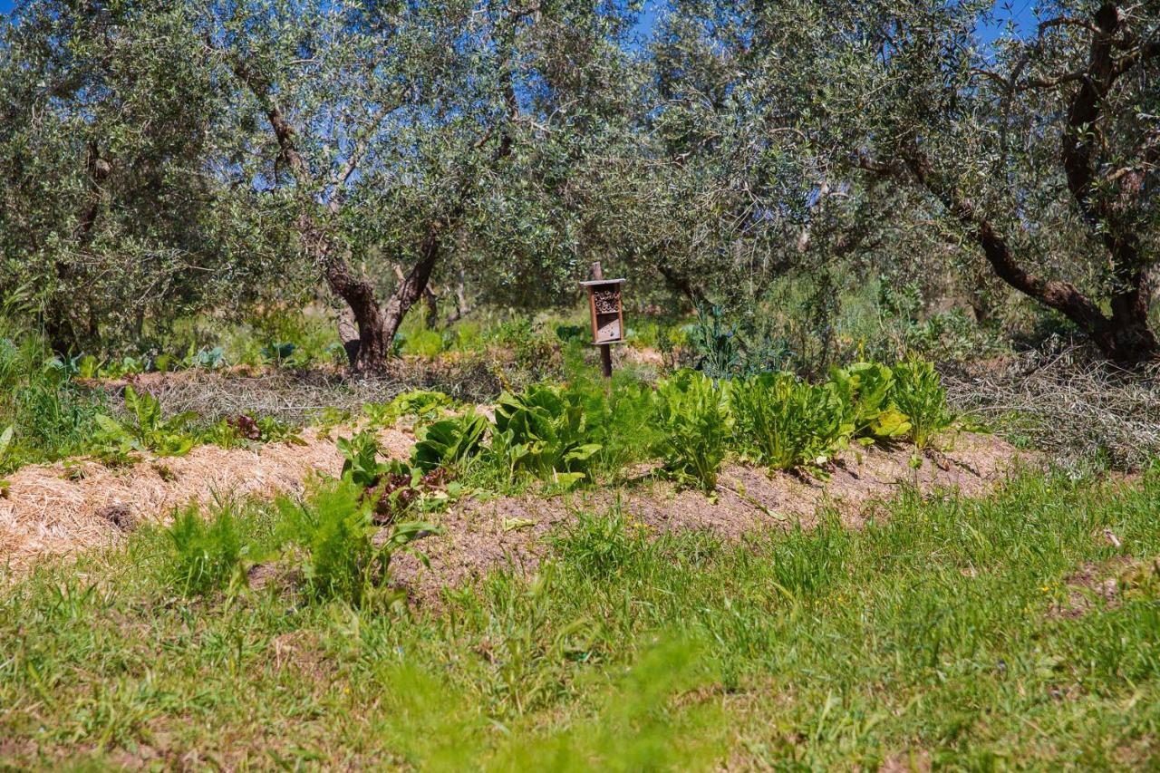 Agriturismo Biologico Piccapane Bed and Breakfast Cutrofiano Εξωτερικό φωτογραφία